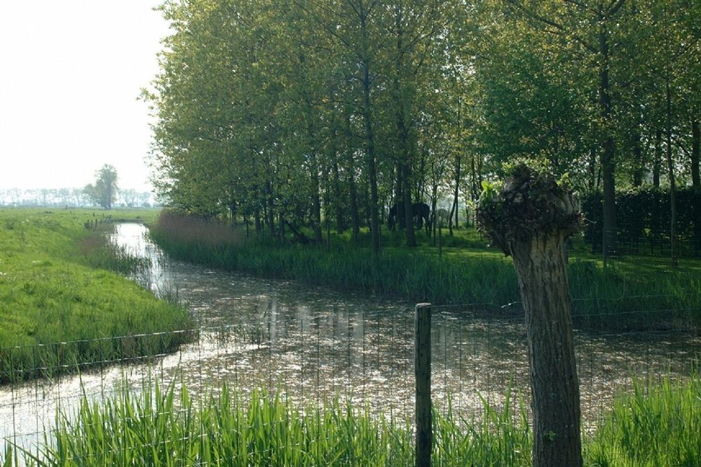 B&B Pronkenburg Brugia Zewnętrze zdjęcie